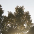 옻골문화공원 이미지