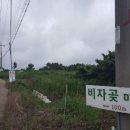 비자곶