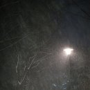 수 (수노래클럽) 이미지