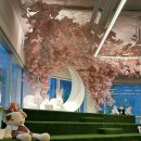 제니아빈 이미지