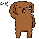 아벨리뜨