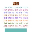 애락의원 Daum카페