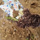 정식농장 이미지