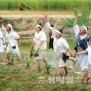 장뜰두레놀이 이미지