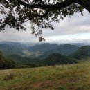 신양목장 이미지