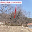 선원면-9 네이버블로그