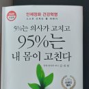 미리안나비 이미지