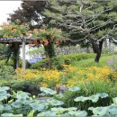 서일 농장 이미지