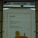 낙동강의 일몰(2010.1. 15.) - 구포역 앞 이미지