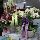 녹차골화원 이미지