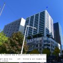 그랜드코아 티스토리