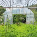 토골농장 이미지