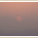 신검사