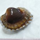 국일식당 이미지