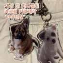 강아지 키링제작 아이텐션 후기