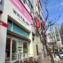 롯데리아노은점 이미지