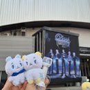 나은메드 | 플레이브 2025 PLAVE Asia Tour ［DASH: Quantum Leap］ Encore 양일 후기/ 고척돔 콘서트 시야