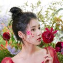 아이유어스 이미지
