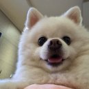 온댕 네이버블로그
