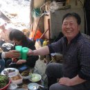 선배농장 Daum카페