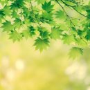 황산한의원 이미지