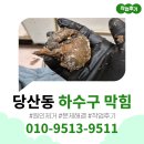 당산동 싱크대막힘 영등포동 하수구막힘 뚫는 방법