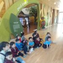 자람터유치원 이미지