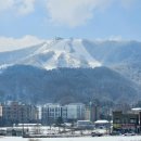 바다봄 | 제철 회가 땡길 때, 가락시장 바다나라 봄도다리 포장 후기
