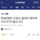 속보) 경부고속선 동대구역~경주역 구간에서 KTX 열차 탈선 이미지