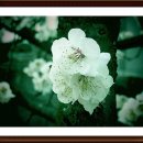 청암공원 이미지