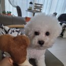 진희슈퍼 이미지