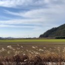 송호파크 이미지