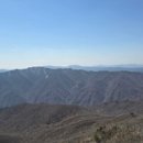 진안읍 1331 이미지