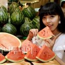 지연야채