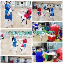 왕호태권도장 이미지