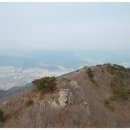 솔다방 이미지