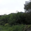 진전면938 이미지