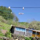 하늘이 닿은 집 이미지