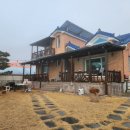 사랑꽃 스테이 이미지