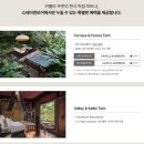 S당구카페 | 발리 우붓 숙소 리조트 추천 카펠라 우붓 신혼여행 수영장 조식 부대시설 후기