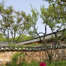 함박꽃민속촌 이미지