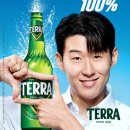 테라