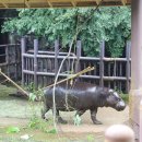 서울숲5 이미지