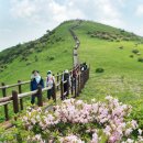 소백산 - 금천구 시흥대로58길 13 | 소백산