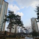 도안휴먼시아1단지 이미지