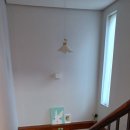 뉴보문 포레스트 이미지