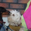 그린장모텔 이미지