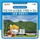 운문로컬푸드