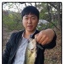 이지스핀 이미지