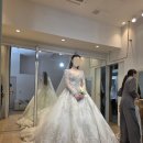 럭스 | 엘리자베스 럭스 본식 셀렉 후기ㅣ 결국 추가금 파티하고 온 10벌 피팅기✨